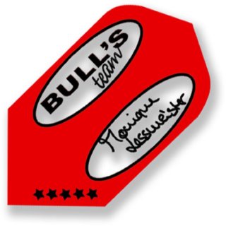 BULLS B-Star Flights