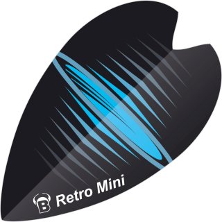 BULLS Retro & Retro Mini Flights