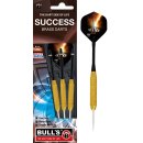 BULLS Success Steel Dart (21g, 23g)