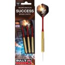 BULLS Success Steel Dart (20g, 22g)