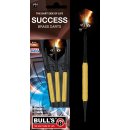 BULLS Success Soft Dart (16g, 18g)