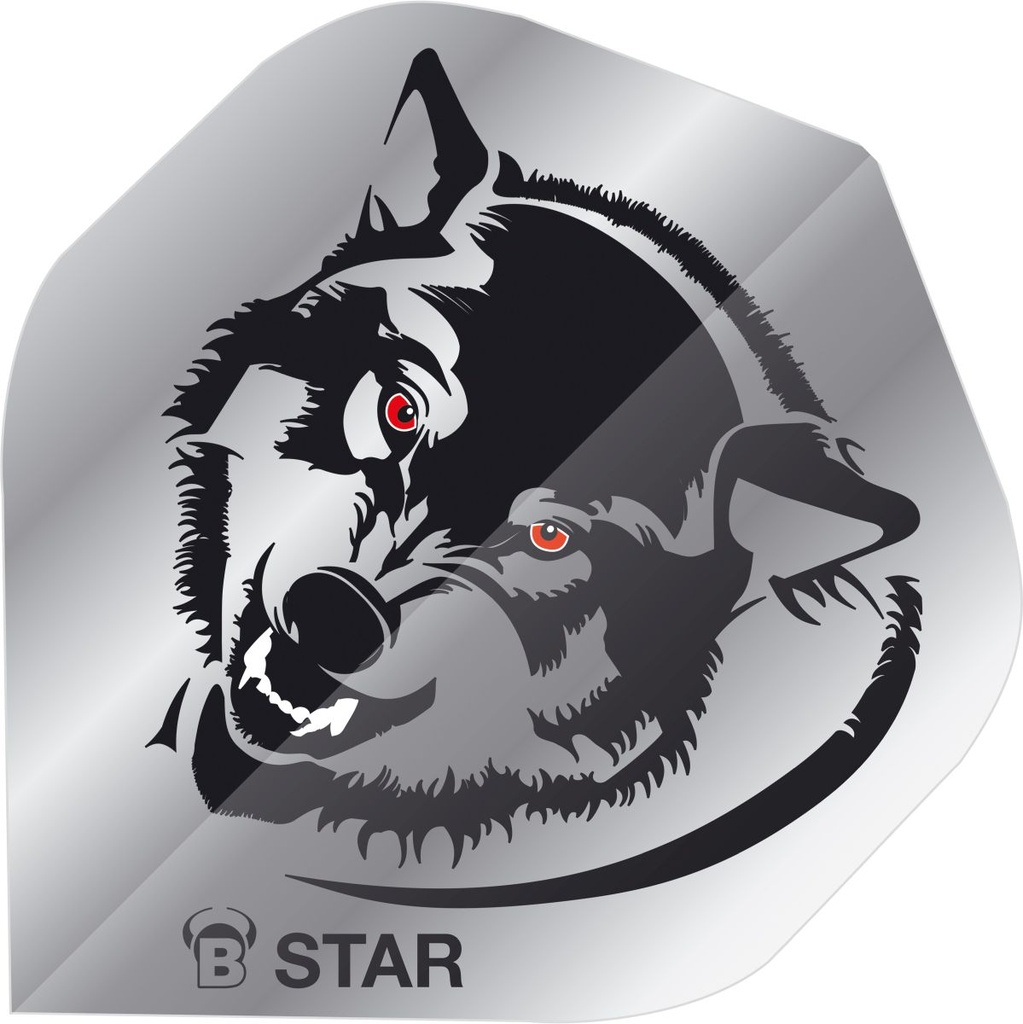 [b51822] BEAZD B-Star Flights