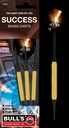 BEAZD Success Softdart