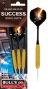 BEAZD Success Steel Dart