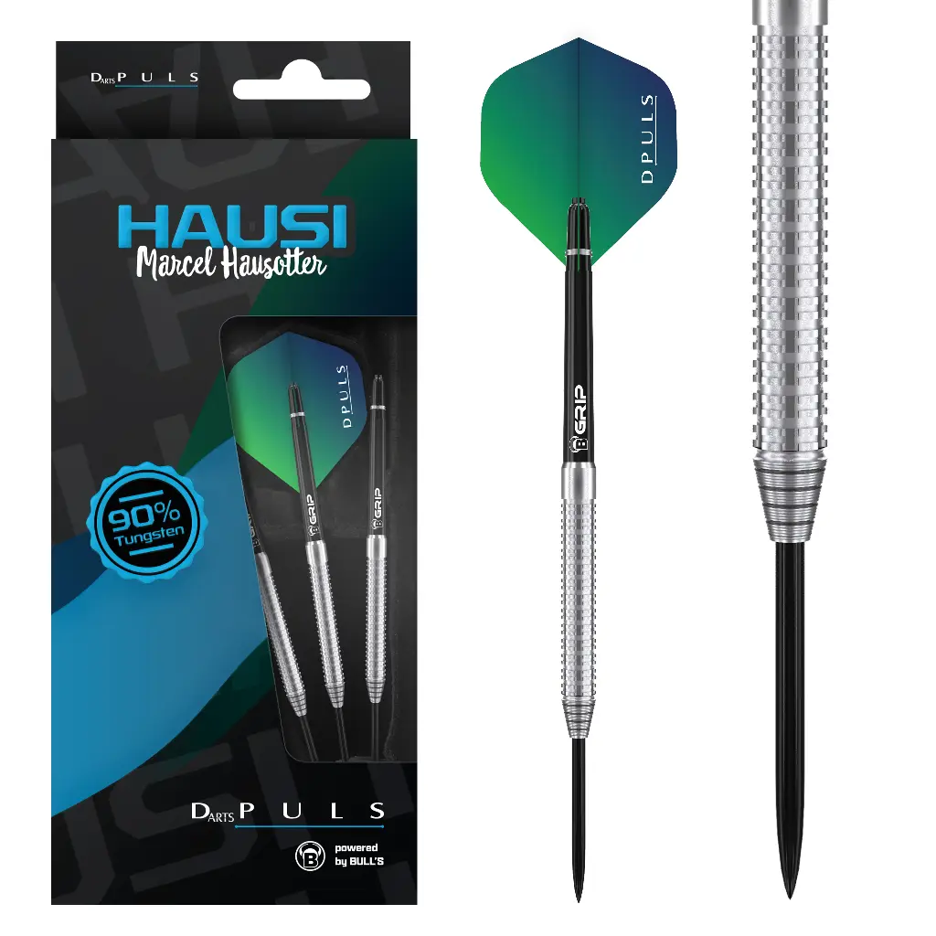 [d44023] DPuls Hausi Marcel Hausotter Steel Dart