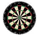 NPQ Steeldartboard